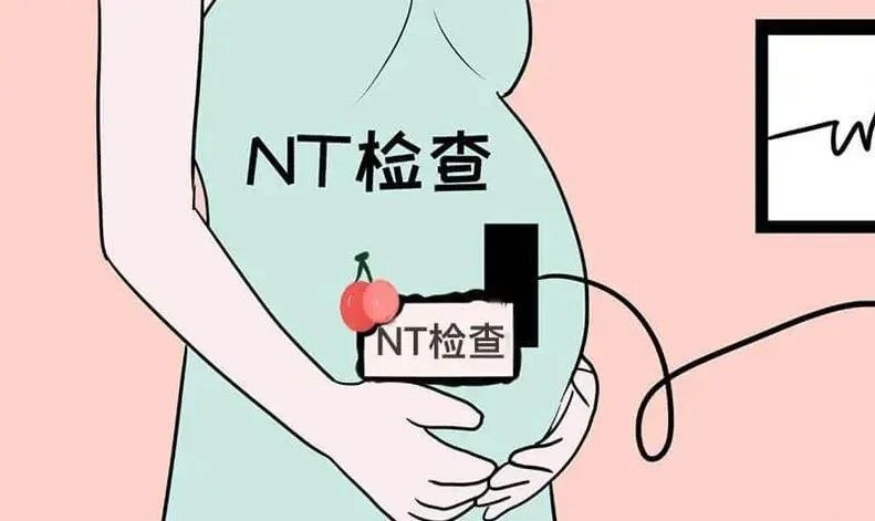 ̥һP(gun)NTz顱ʋǧfe`
