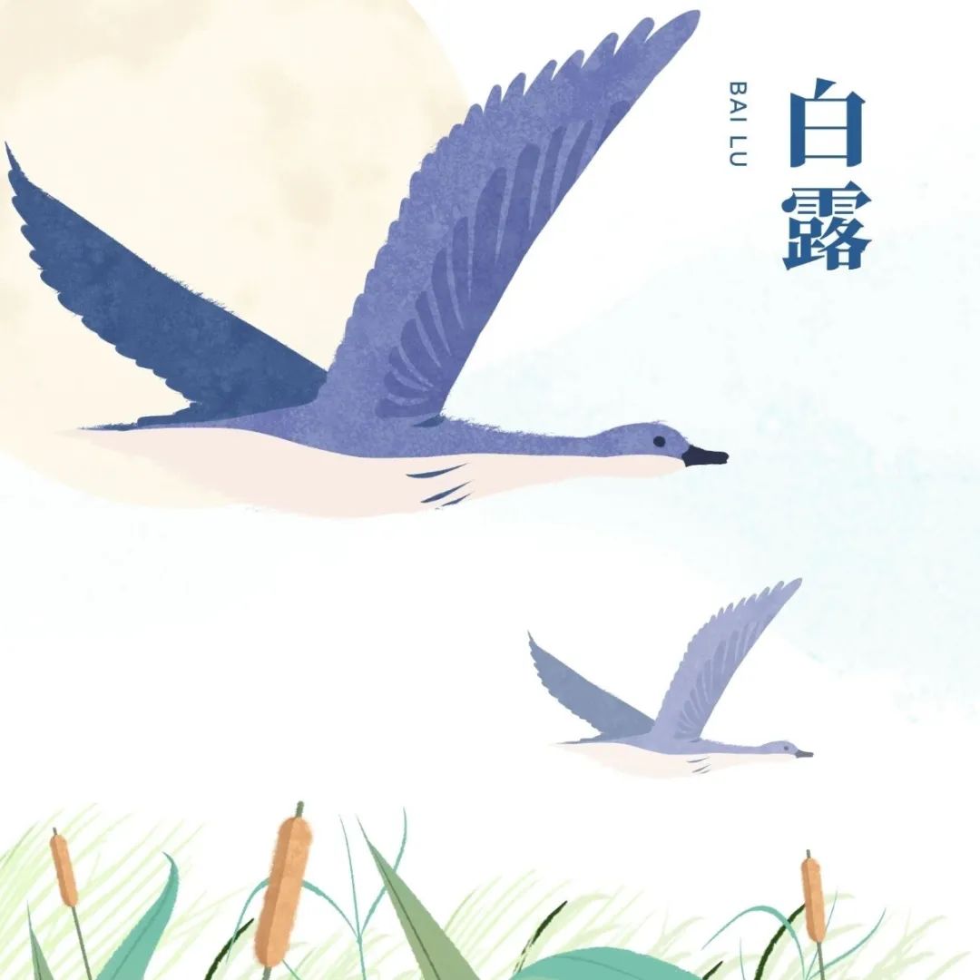 հ¶ | @ЩB(yng)Ҏ(gu)Ҫӛ!
